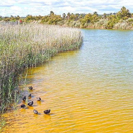 Cantinho Do Mocho Pêra Dış mekan fotoğraf